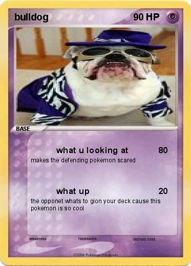 Bulldog Pokemon