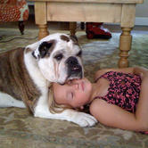 are old english bulldogs good with babies